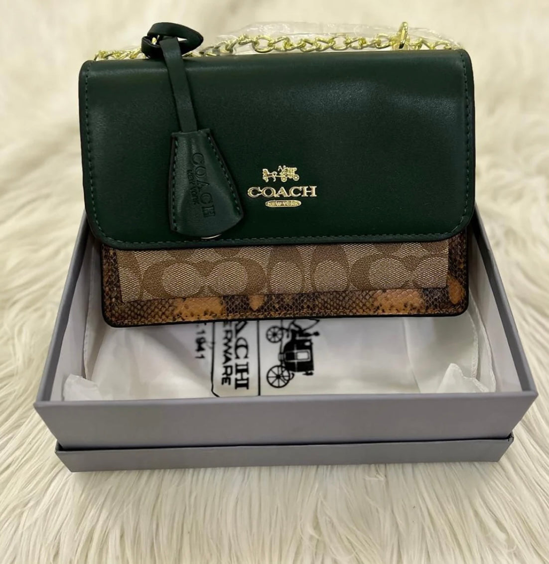 Coach Bag with Brand Box - Green Color